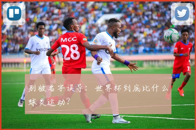 别被名字误导：世界杯到底比什么球类运动？